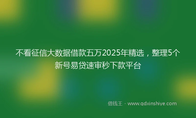 不看征信大数据借款五万2025年精选，整理5个新号易贷速审秒下款平台