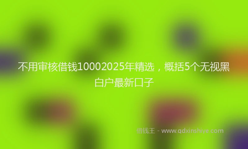 不用审核借钱10002025年精选，概括5个无视黑白户最新口子