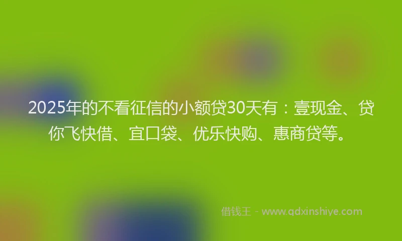2025年的不看征信的小额贷30天有：壹现金、贷你飞快借、宜口袋、优乐快购、惠商贷等。
