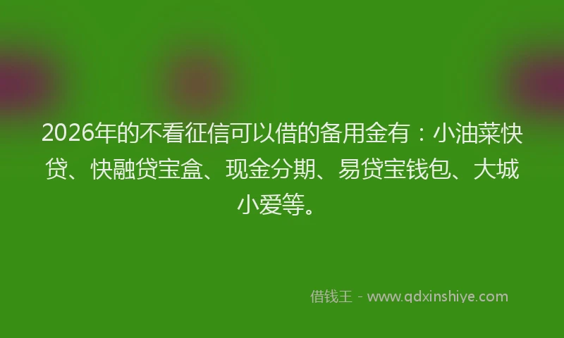 2026年的不看征信可以借的备用金有：小油菜快贷、快融贷宝盒、现金分期、易贷宝钱包、大城小爱等。