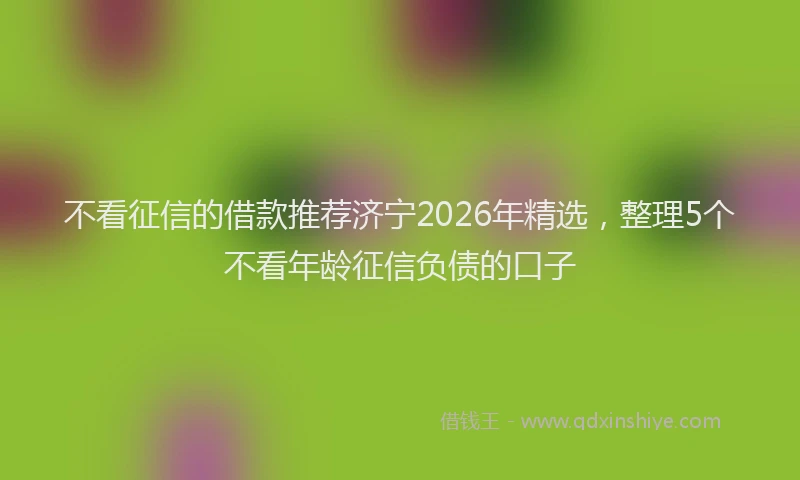 不看征信的借款推荐济宁2026年精选，整理5个不看年龄征信负债的口子
