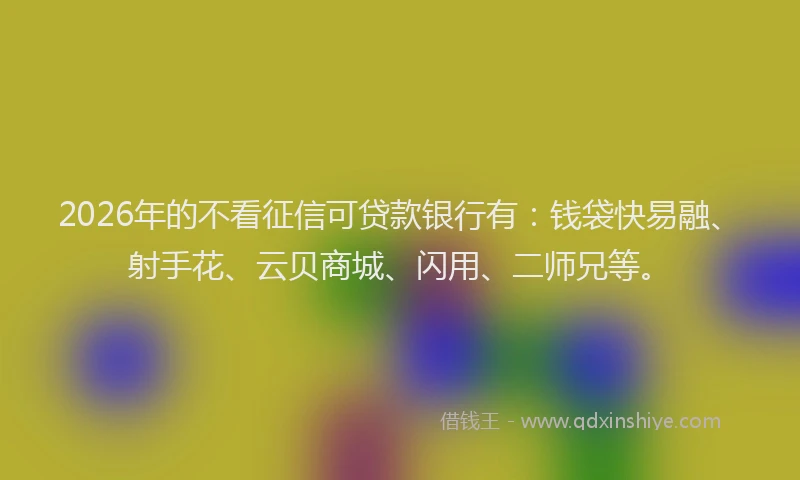 2026年的不看征信可贷款银行有：钱袋快易融、射手花、云贝商城、闪用、二师兄等。