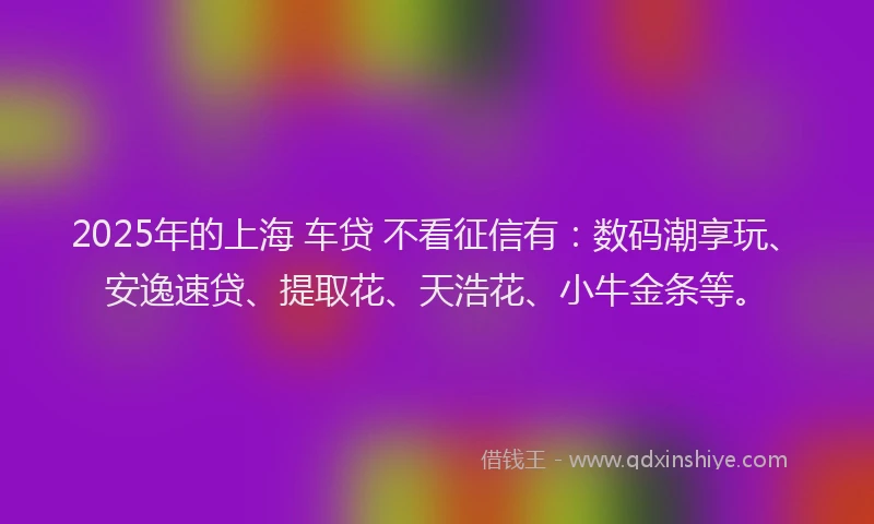 2025年的上海 车贷 不看征信有：数码潮享玩、安逸速贷、提取花、天浩花、小牛金条等。