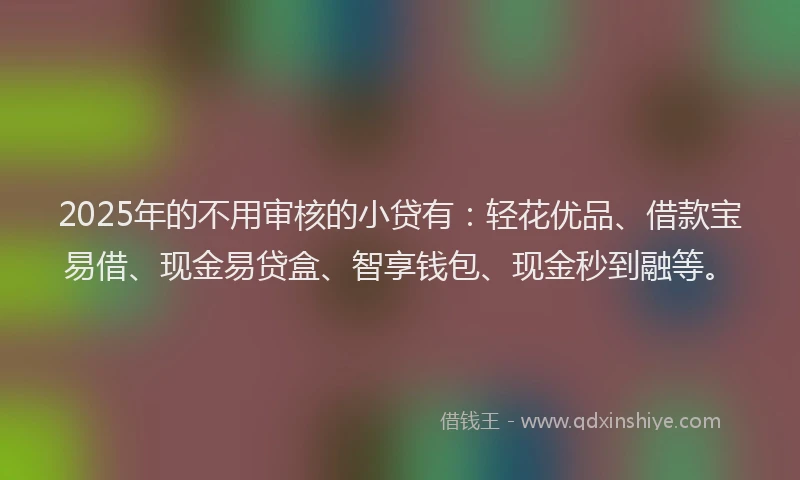 2025年的不用审核的小贷有：轻花优品、借款宝易借、现金易贷盒、智享钱包、现金秒到融等。