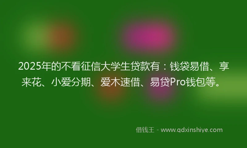 2025年的不看征信大学生贷款有:钱袋易借、享来花、小爱分期、爱木速借、易贷Pro钱包等。