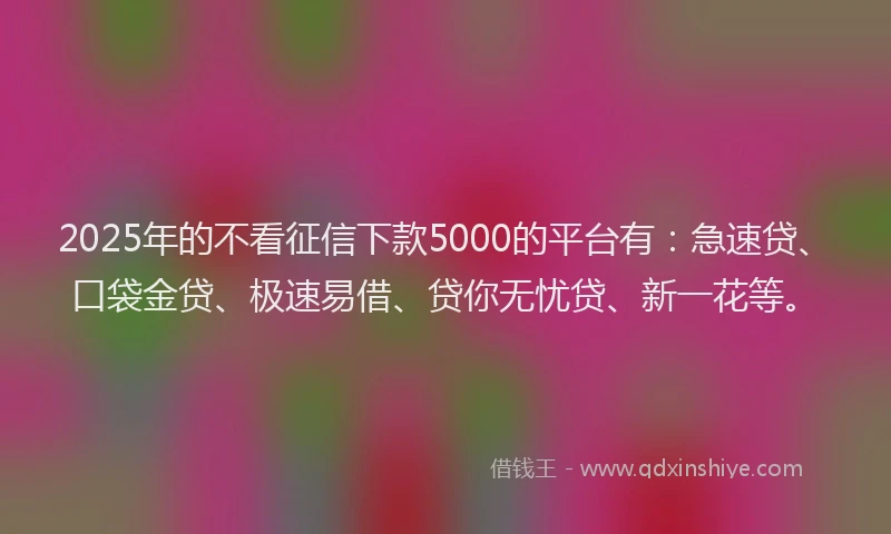 2025年的不看征信下款5000的平台有:急速贷、口袋金贷、极速易借、贷你无忧贷、新一花等。