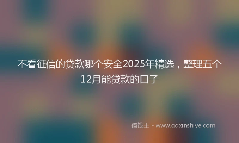 不看征信的贷款哪个安全2025年精选，整理五个12月能贷款的口子
