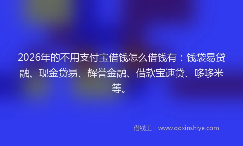 2026年的不用支付宝借钱怎么借钱有：钱袋易贷融、现金贷易、辉誉金融、借款宝速贷、哆哆米等。