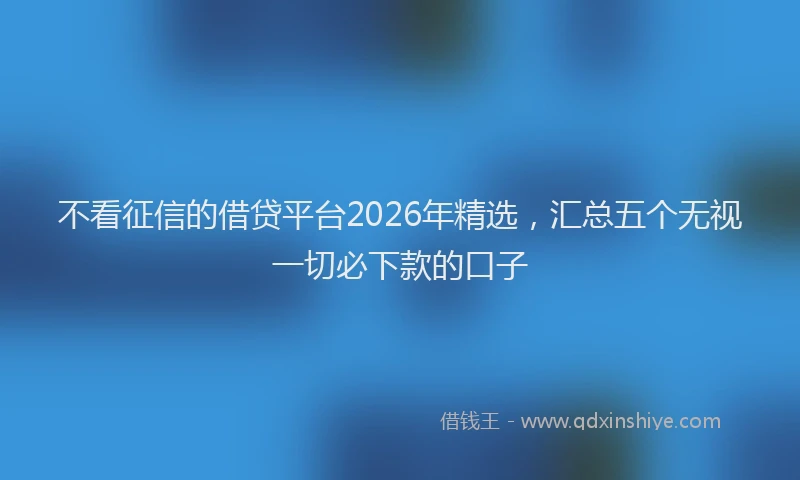不看征信的借贷平台2026年精选，汇总五个无视一切必下款的口子
