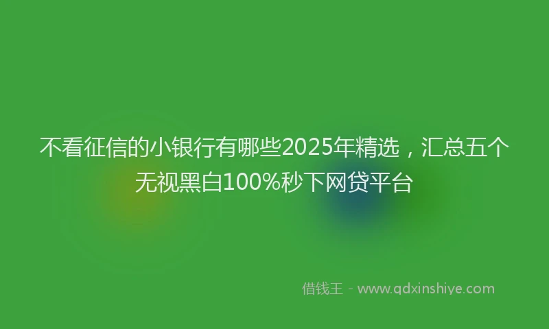 不看征信的小银行有哪些2025年精选，汇总五个无视黑白100%秒下网贷平台