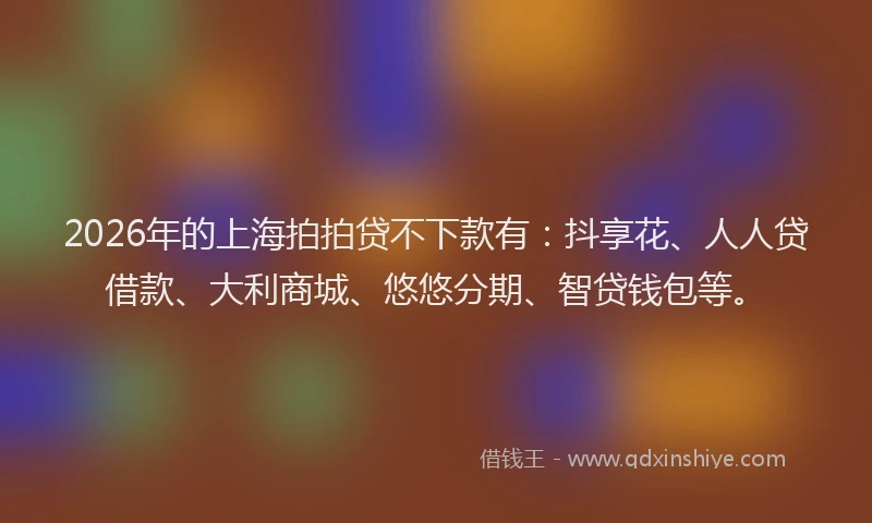 2026年的上海拍拍贷不下款有：抖享花、人人贷借款、大利商城、悠悠分期、智贷钱包等。