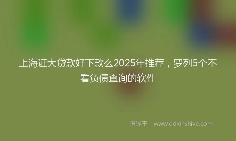 上海证大贷款好下款么2025年推荐，罗列5个不看负债查询的软件