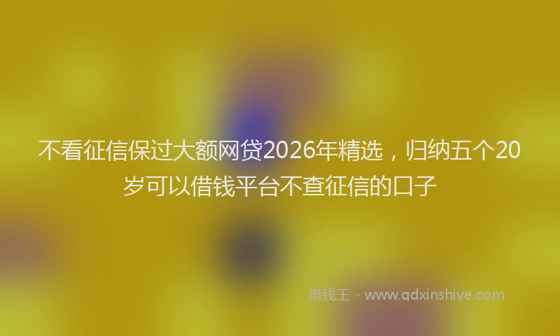 不看征信保过大额网贷2026年精选，归纳五个20岁可以借钱平台不查征信的口子