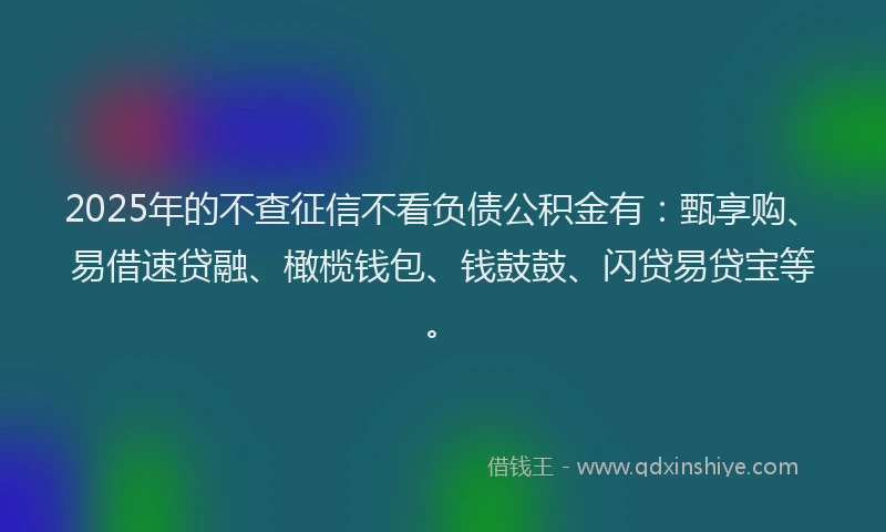 2025年的不查征信不看负债公积金有：甄享购、易借速贷融、橄榄钱包、钱鼓鼓、闪贷易贷宝等。