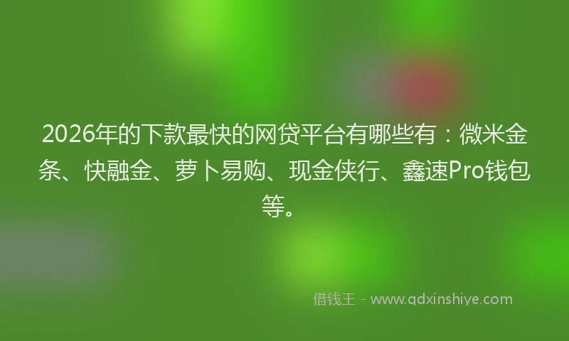 2026年的下款最快的网贷平台有哪些有：微米金条、快融金、萝卜易购、现金侠行、鑫速Pro钱包等。