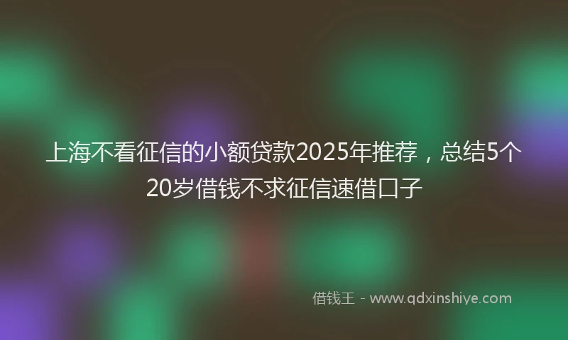 上海不看征信的小额贷款2025年推荐，总结5个20岁借钱不求征信速借口子