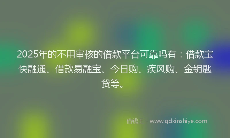 2025年的不用审核的借款平台可靠吗有：借款宝快融通、借款易融宝、今日购、疾风购、金钥匙贷等。