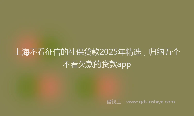 上海不看征信的社保贷款2025年精选，归纳五个不看欠款的贷款app