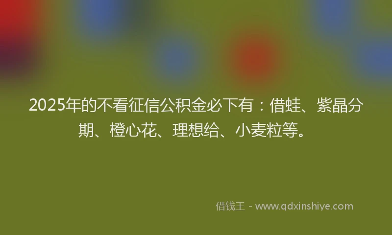 2025年的不看征信公积金必下有：借蛙、紫晶分期、橙心花、理想给、小麦粒等。