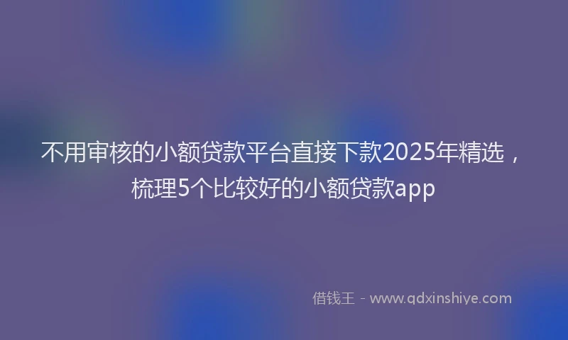 不用审核的小额贷款平台直接下款2025年精选，梳理5个比较好的小额贷款app