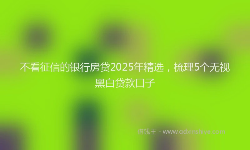 不看征信的银行房贷2025年精选，梳理5个无视黑白贷款口子