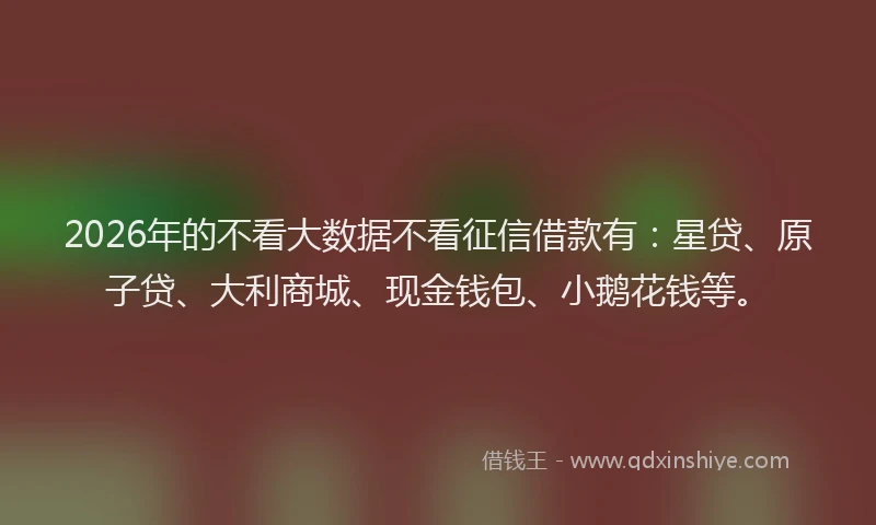 2026年的不看大数据不看征信借款有：星贷、原子贷、大利商城、现金钱包、小鹅花钱等。