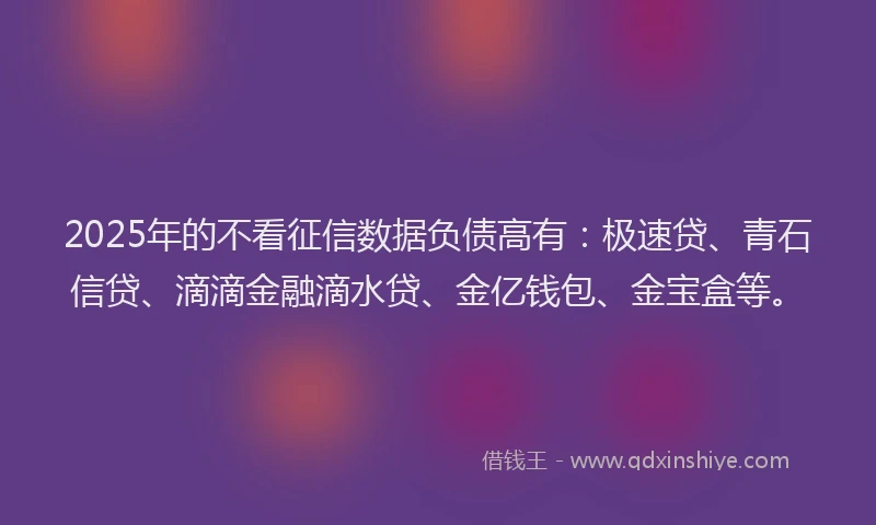 2025年的不看征信数据负债高有：极速贷、青石信贷、滴滴金融滴水贷、金亿钱包、金宝盒等。