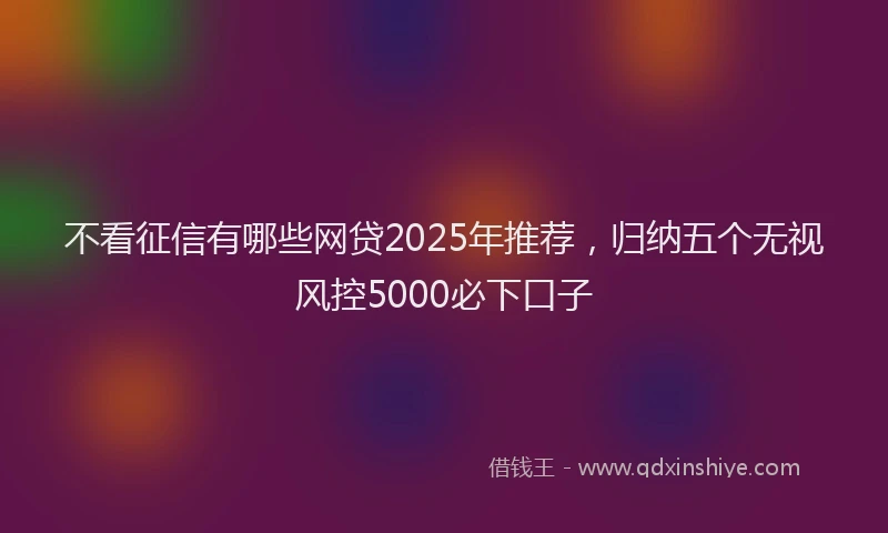 不看征信有哪些网贷2025年推荐,归纳五个无视风控5000必下口子