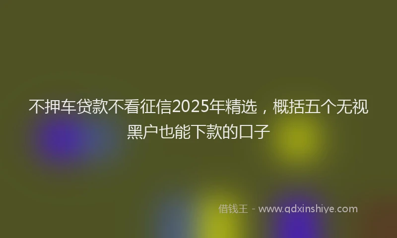 不押车贷款不看征信2025年精选，概括五个无视黑户也能下款的口子
