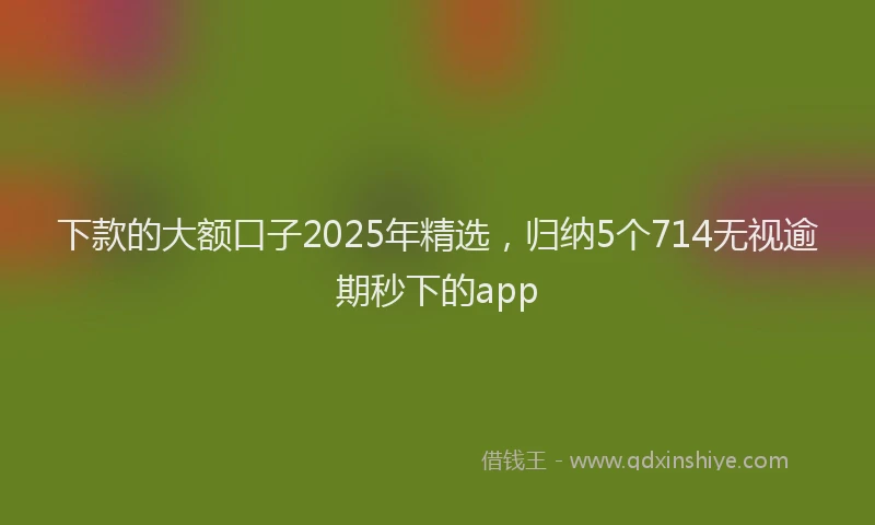 下款的大额口子2025年精选，归纳5个714无视逾期秒下的app