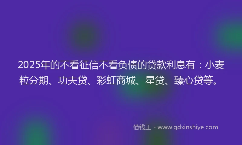 2025年的不看征信不看负债的贷款利息有：小麦粒分期、功夫贷、彩虹商城、星贷、臻心贷等。