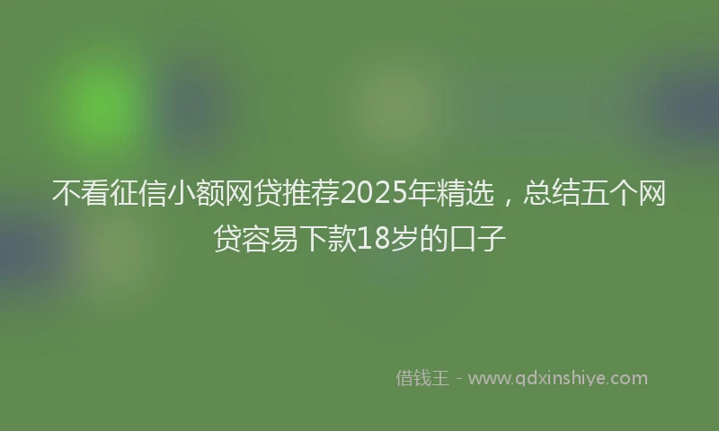 不看征信小额网贷推荐2025年精选，总结五个网贷容易下款18岁的口子