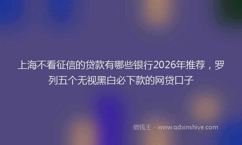 上海不看征信的贷款有哪些银行2026年推荐，罗列五个无视黑白必下款的网贷口子