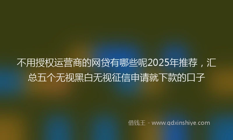 不用授权运营商的网贷有哪些呢2025年推荐，汇总五个无视黑白无视征信申请就下款的口子