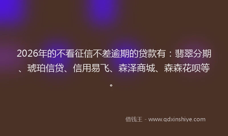 2026年的不看征信不差逾期的贷款有：翡翠分期、琥珀信贷、信用易飞、森泽商城、森森花呗等。
