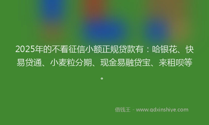 2025年的不看征信小额正规贷款有：哈银花、快易贷通、小麦粒分期、现金易融贷宝、来租呗等。