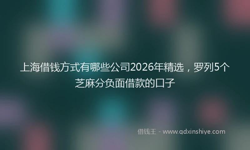 上海借钱方式有哪些公司2026年精选，罗列5个芝麻分负面借款的口子