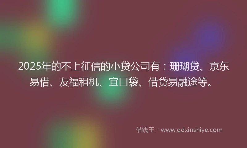 2025年的不上征信的小贷公司有：珊瑚贷、京东易借、友福租机、宜口袋、借贷易融途等。
