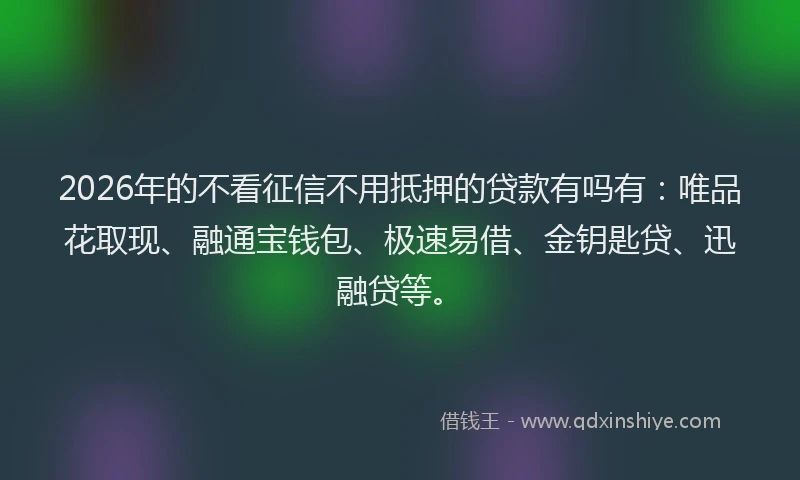 2026年的不看征信不用抵押的贷款有吗有：唯品花取现、融通宝钱包、极速易借、金钥匙贷、迅融贷等。