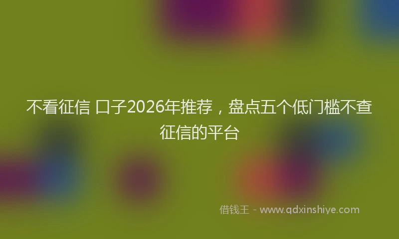 不看征信 口子2026年推荐,盘点五个低门槛不查征信的平台