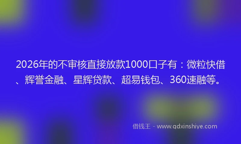 2026年的不审核直接放款1000口子有：微粒快借、辉誉金融、星辉贷款、超易钱包、360速融等。