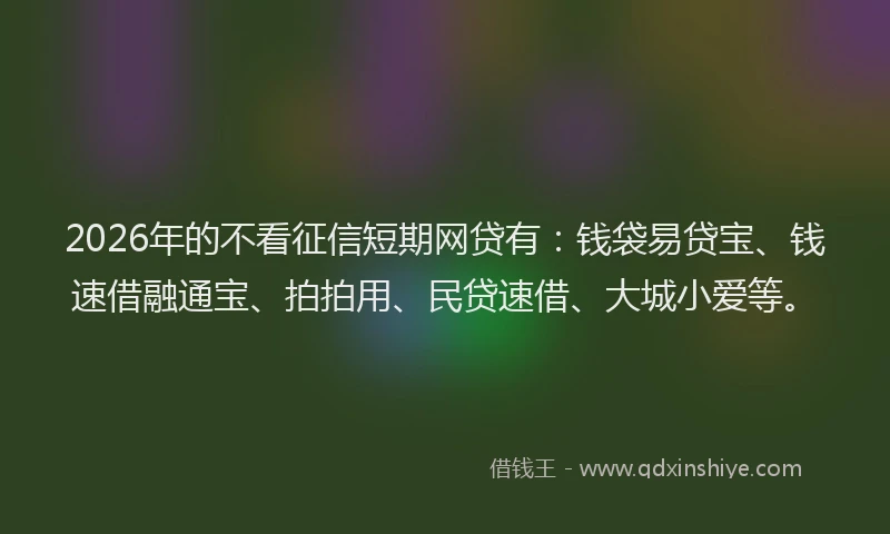 2026年的不看征信短期网贷有：钱袋易贷宝、钱速借融通宝、拍拍用、民贷速借、大城小爱等。