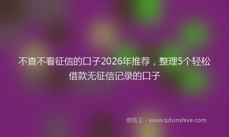不查不看征信的口子2026年推荐，整理5个轻松借款无征信记录的口子