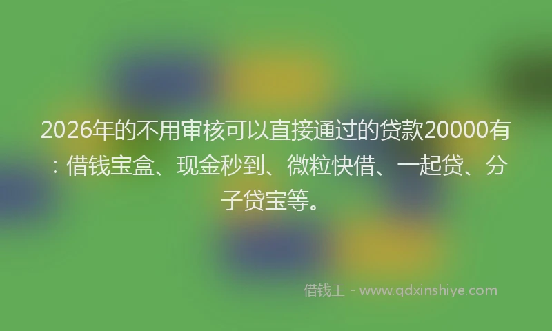 2026年的不用审核可以直接通过的贷款20000有：借钱宝盒、现金秒到、微粒快借、一起贷、分子贷宝等。