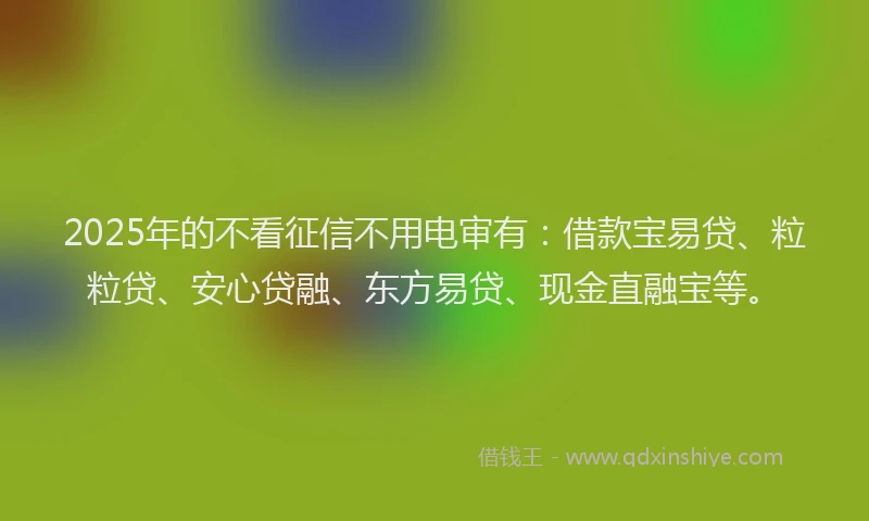 2025年的不看征信不用电审有:借款宝易贷、粒粒贷、安心贷融、东方易贷、现金直融宝等。
