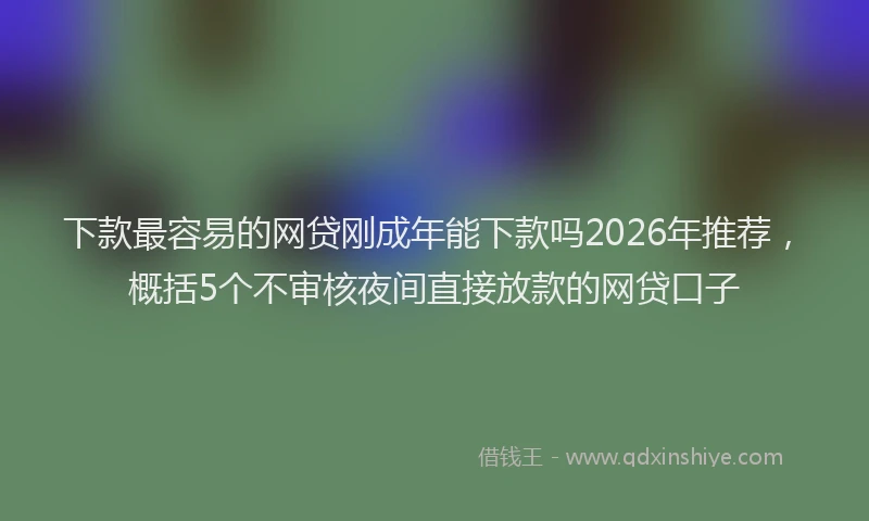 下款最容易的网贷刚成年能下款吗2026年推荐,概括5个不审核夜间直接放款的网贷口子