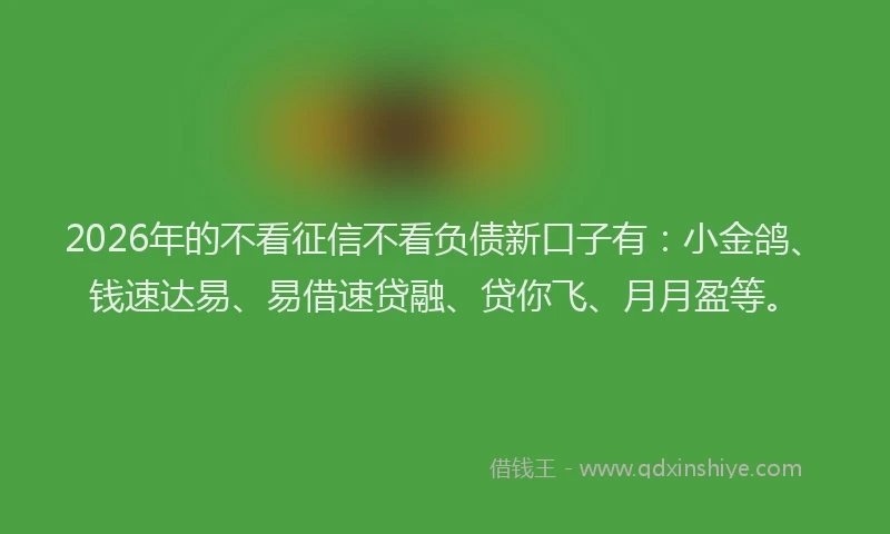 2026年的不看征信不看负债新口子有：小金鸽、钱速达易、易借速贷融、贷你飞、月月盈等。