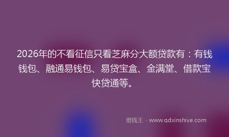 2026年的不看征信只看芝麻分大额贷款有：有钱钱包、融通易钱包、易贷宝盒、金满堂、借款宝快贷通等。