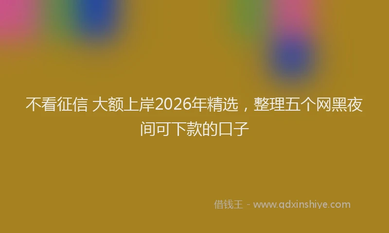 不看征信 大额上岸2026年精选,整理五个网黑夜间可下款的口子