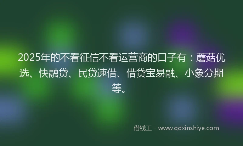 2025年的不看征信不看运营商的口子有：蘑菇优选、快融贷、民贷速借、借贷宝易融、小象分期等。